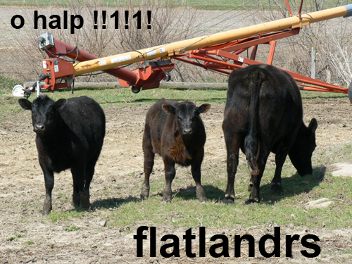 Flatlandrs